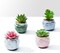 4pcs Fake Succulents Faux Succulent Plants in Pots Mini Potted Succulent Plants for Home Office Desk Decor